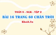 Bài 16 trang 60 Toán 8 Chân trời sáng tạo Tập 2